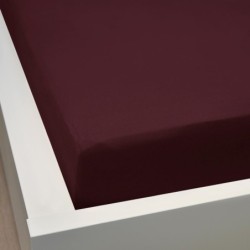 Drap housse aubergine - 57...